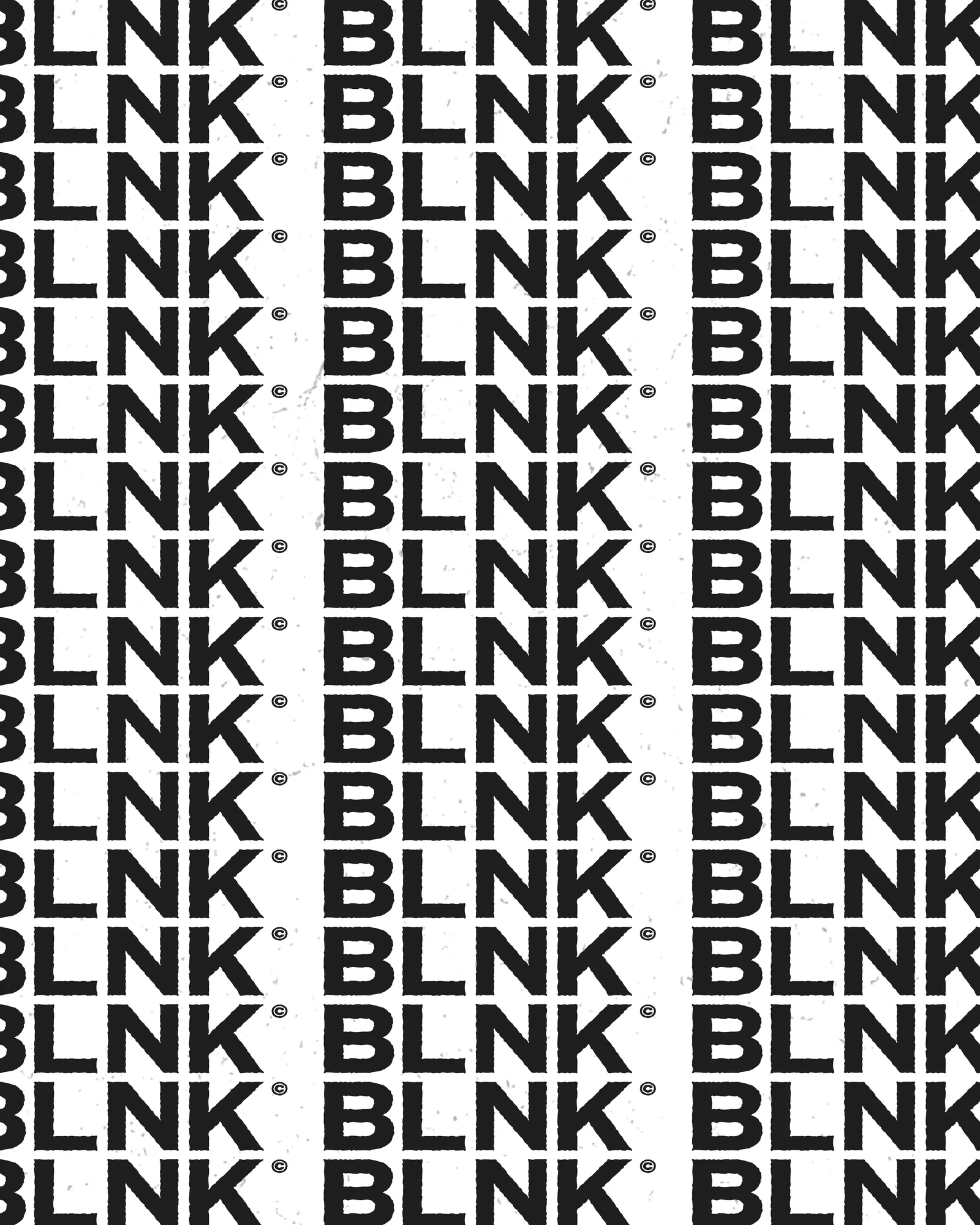 Blank Scale Studios — branding and visual identity by Visage