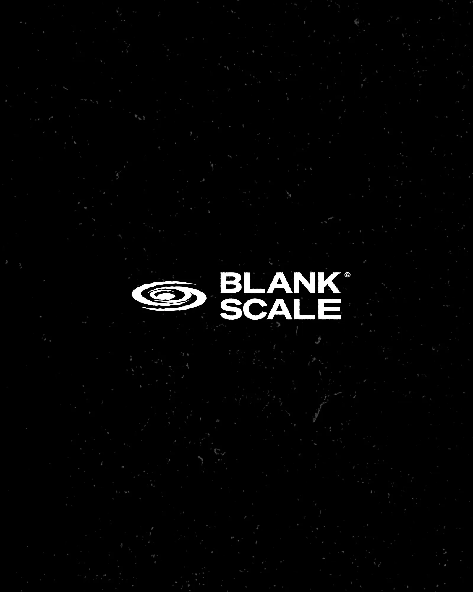 Blank Scale Studios — branding and visual identity for a creative studio by Visage