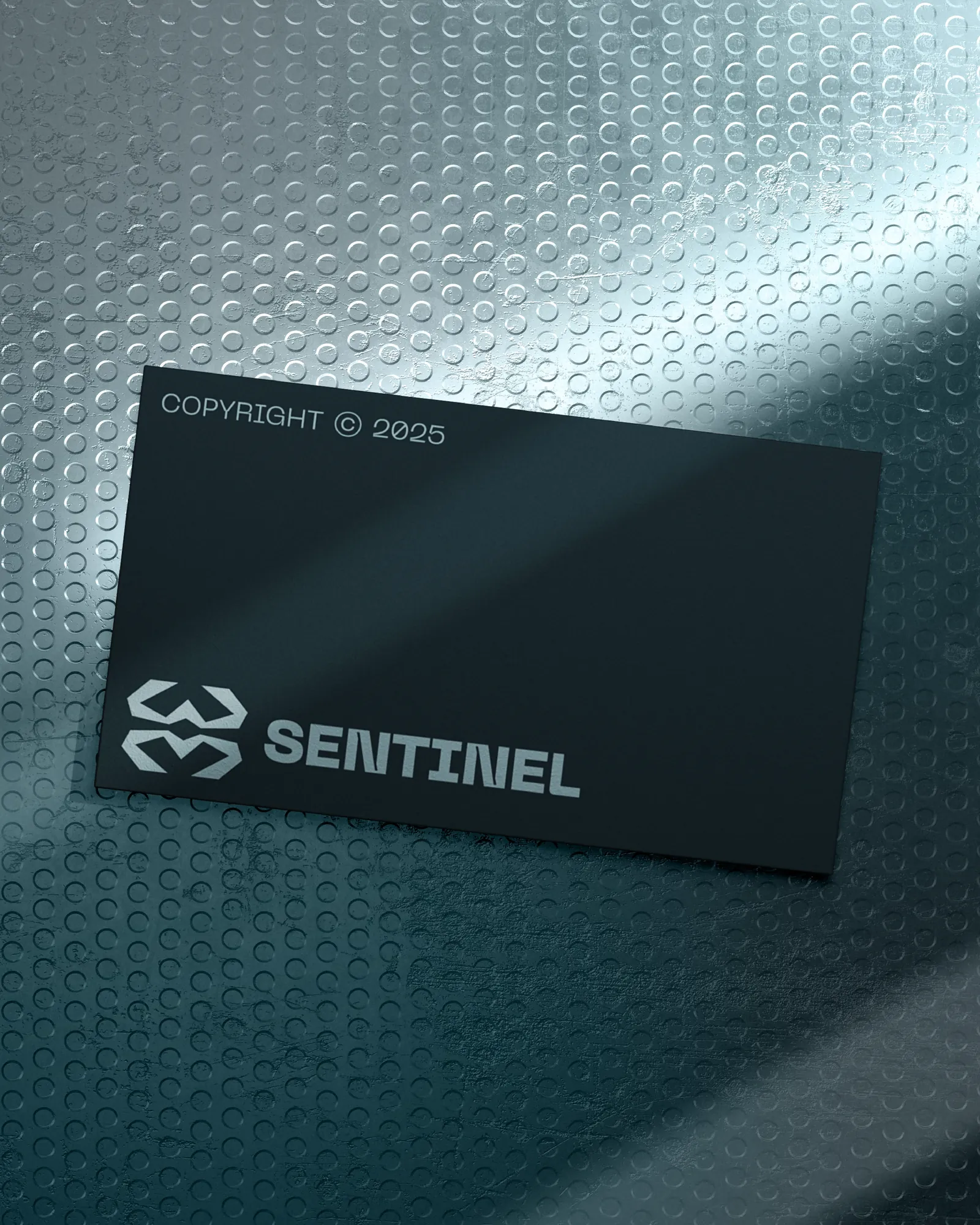 Sentinel — brand identity design by Visage creative agency